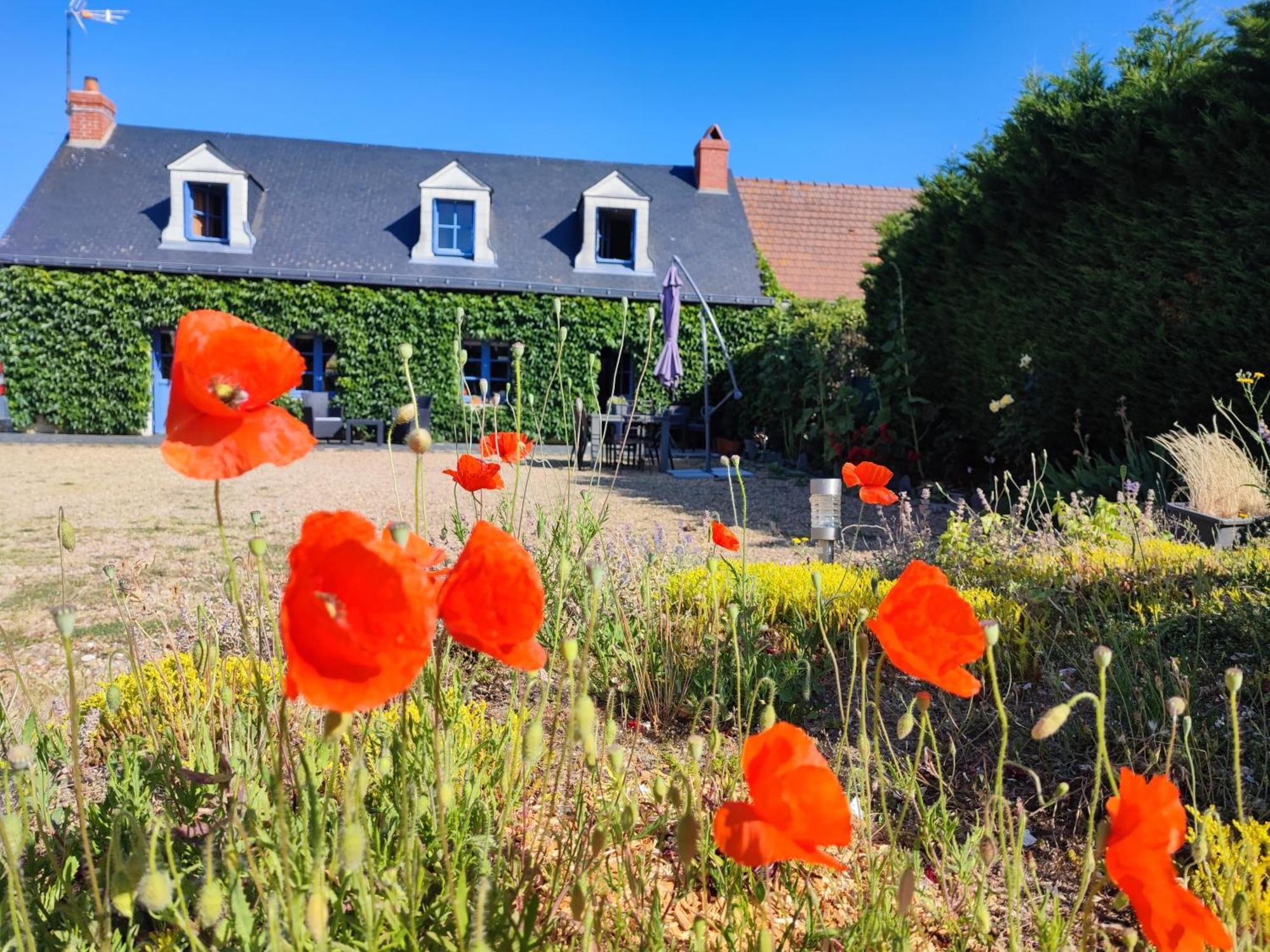 Le clos champêtre Longué Extérieur photo